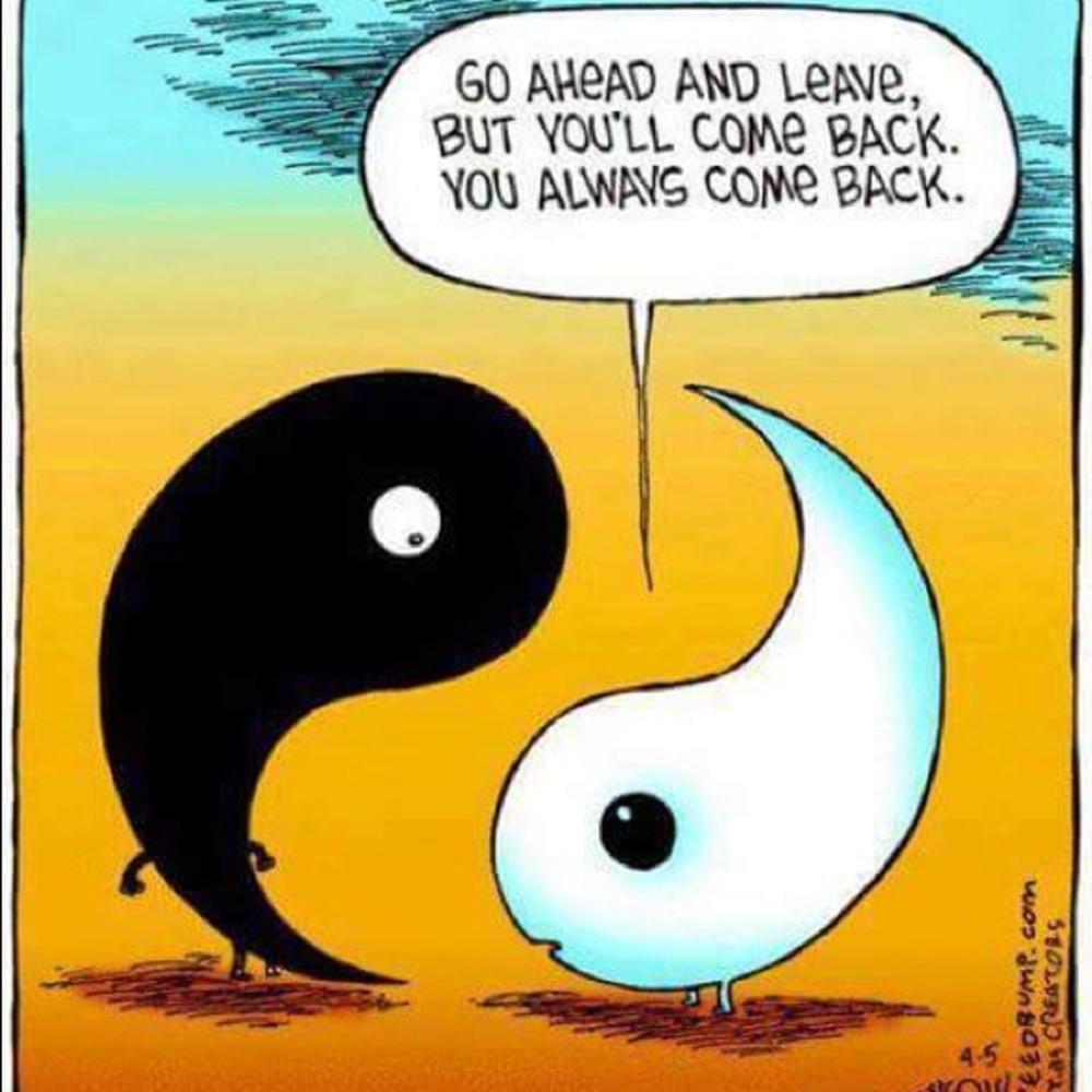 Meet your Posher, Anjel